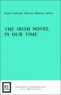 The Irish novel in our time