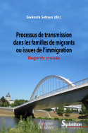 Processus de transmission dans les familles de migrants ou issues de l'immigration