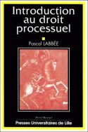 Introduction au droit processuel
