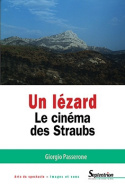 Un lézard